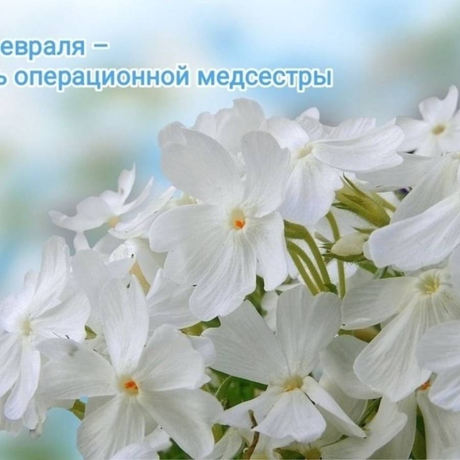 Международный день операционной медицинской сестры.