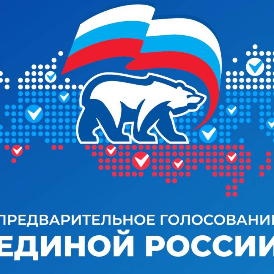 25 мая стартовало электронное предварительное голосование Единой России.